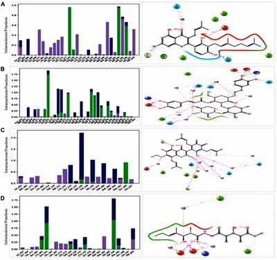 Identification of novel natural drug candidates against BRAF mutated carcinoma; An integrative in-silico structure-based <mark class="highlighted">pharmacophore modeling</mark> and virtual screening process